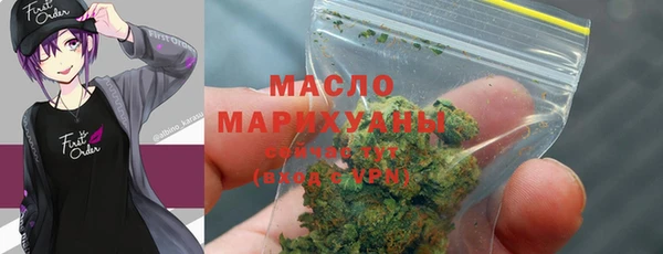 винт Пересвет